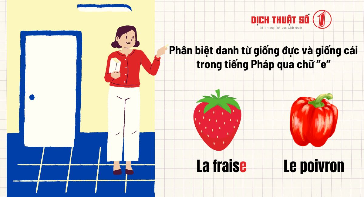 giống đực và giống cái trong tiếng pháp