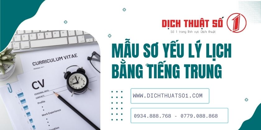 mẫu sơ yếu lý lịch tiếng Trung phồn thể cơ bản 