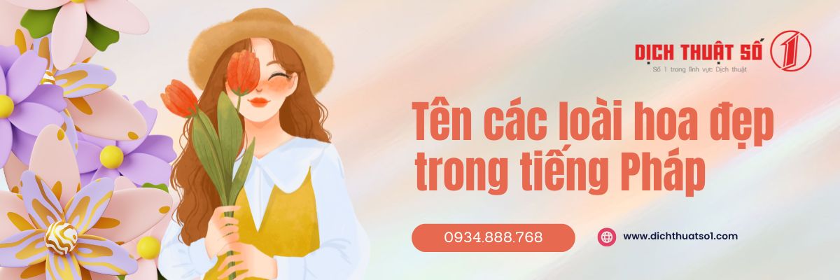 tên các loài hoa trong tiếng Pháp