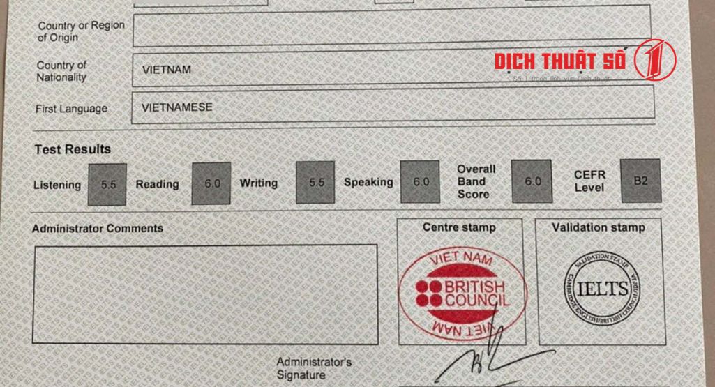 Việc có cần dịch thuật chứng chỉ IELTS hay không phụ thuộc vào mục đích sử dụng